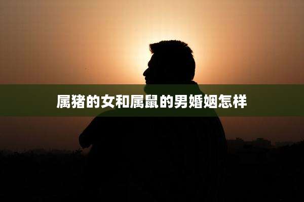属猪的女和属鼠的男婚姻怎样