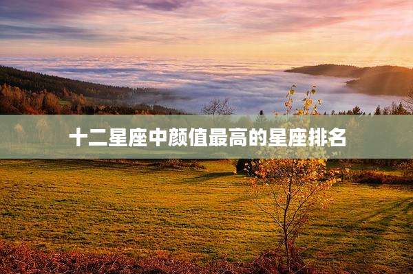 十二星座中颜值最高的星座排名