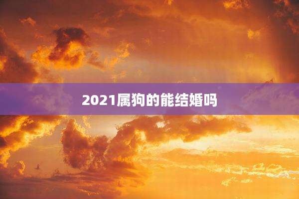 2021属狗的能结婚吗