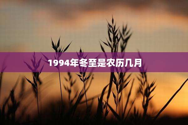 1994年冬至是农历几月