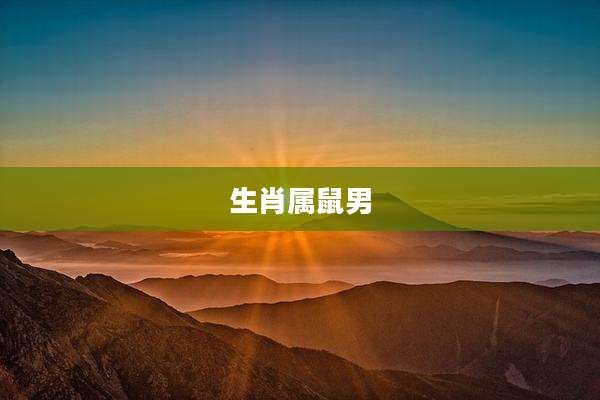 生肖属鼠男