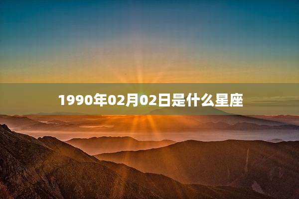 1990年02月02日是什么星座
