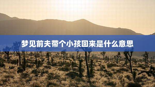 梦见前夫带个小孩回来是什么意思
