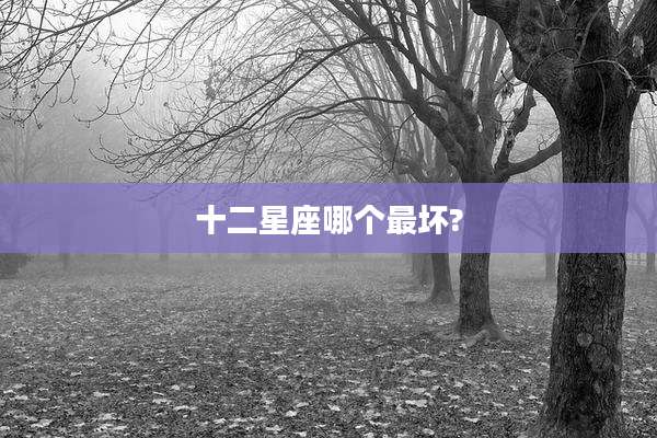 十二星座哪个最坏?