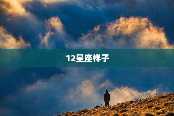 12星座样子