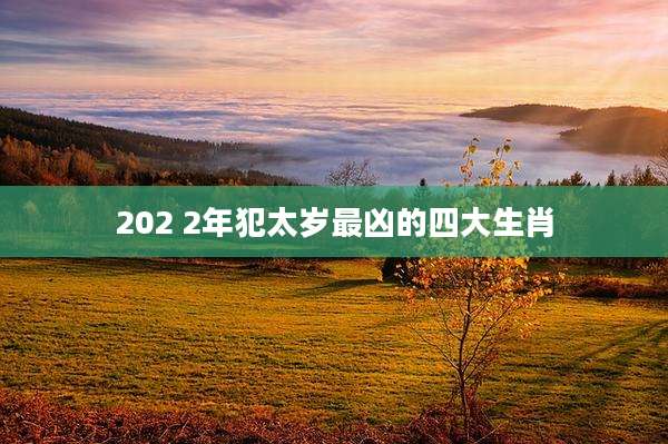 202 2年犯太岁最凶的四大生肖
