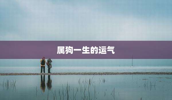 属狗一生的运气