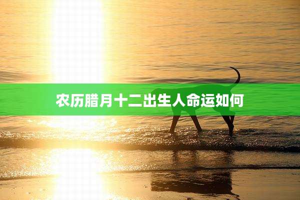 农历腊月十二出生人命运如何