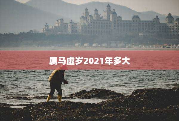 属马虚岁2021年多大
