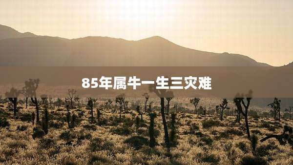 85年属牛一生三灾难
