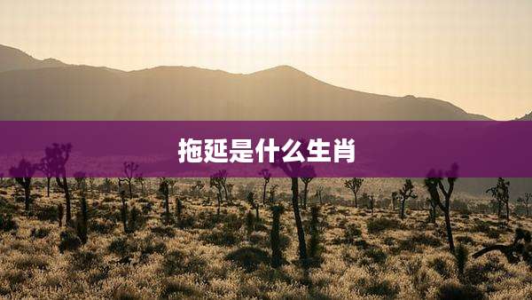 拖延是什么生肖