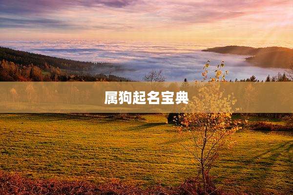 属狗起名宝典