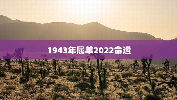 1943年属羊2022命运