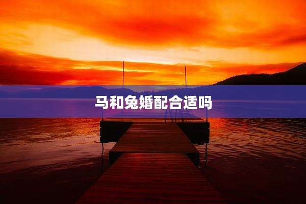 马和兔婚配合适吗