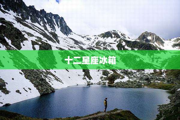 十二星座冰箱