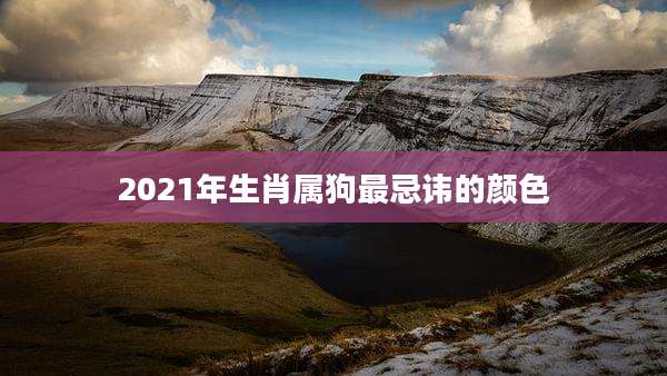 2021年生肖属狗最忌讳的颜色