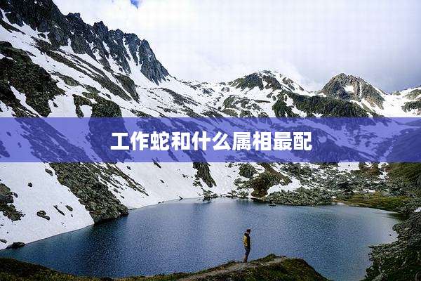 工作蛇和什么属相最配