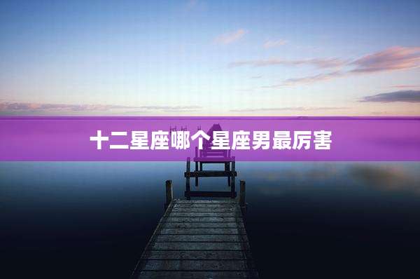 十二星座哪个星座男最厉害