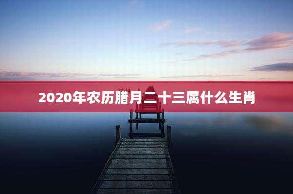 2020年农历腊月二十三属什么生肖