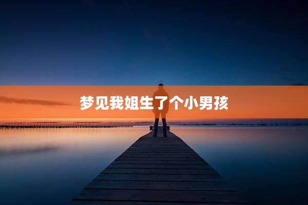梦见我姐生了个小男孩