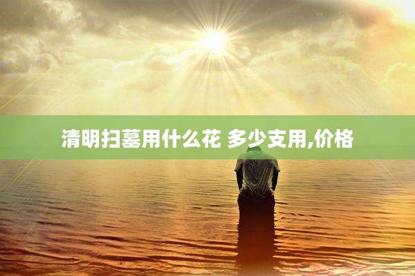 清明扫墓用什么花 多少支用,价格