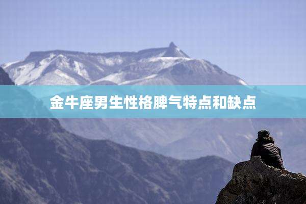 金牛座男生性格脾气特点和缺点