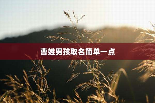 曹姓男孩取名简单一点