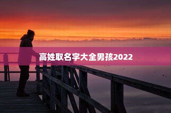 高姓取名字大全男孩2022