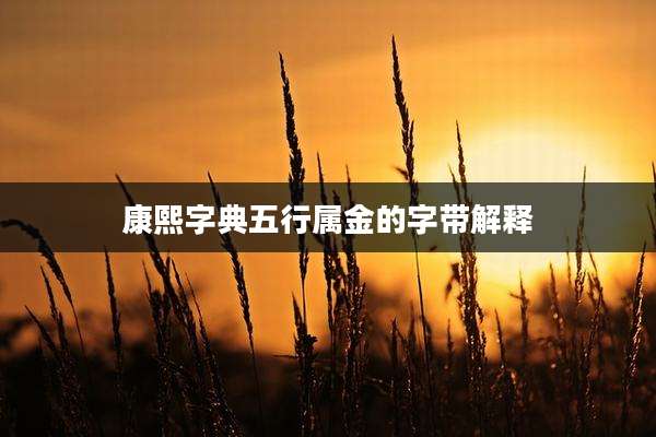 康熙字典五行属金的字带解释