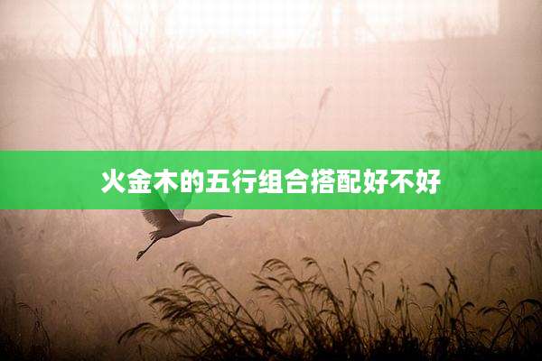 火金木的五行组合搭配好不好