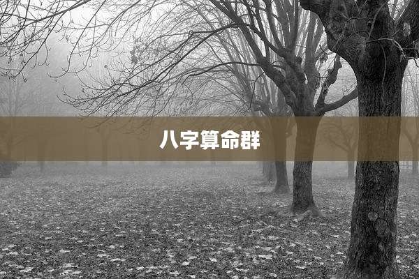 八字算命群