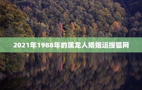 2021年1988年的属龙人婚姻运搜狐网