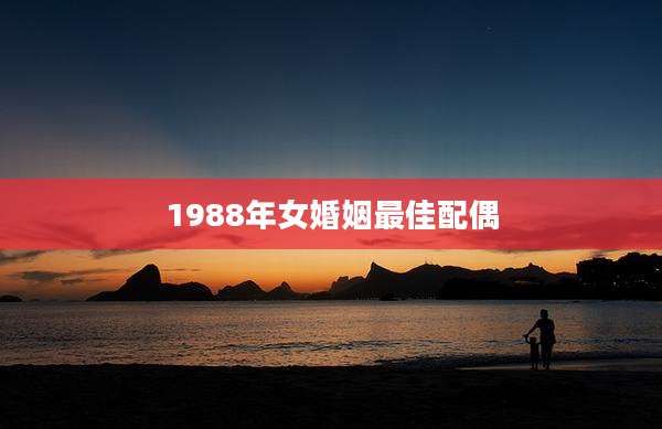 1988年女婚姻最佳配偶
