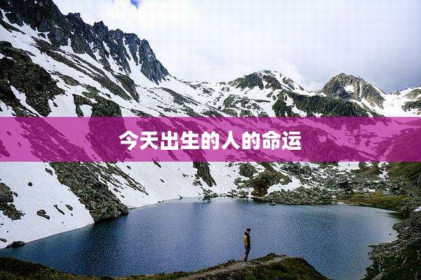 今天出生的人的命运