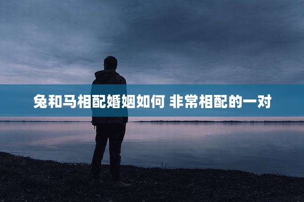 兔和马相配婚姻如何 非常相配的一对