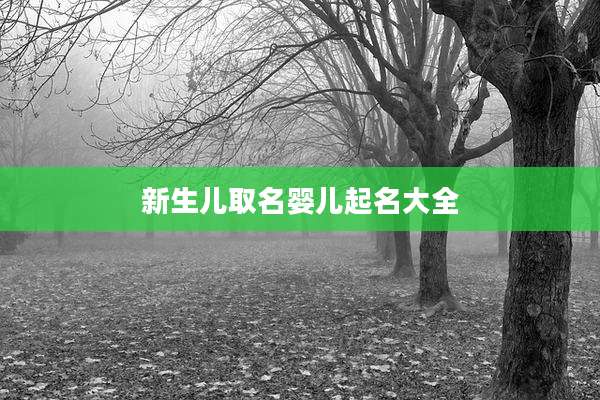 新生儿取名婴儿起名大全