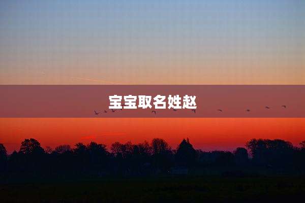 宝宝取名姓赵