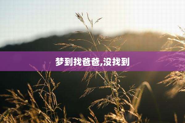 梦到找爸爸,没找到