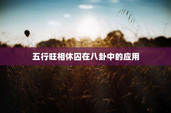 五行旺相休囚在八卦中的应用