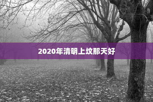 2020年清明上坟那天好