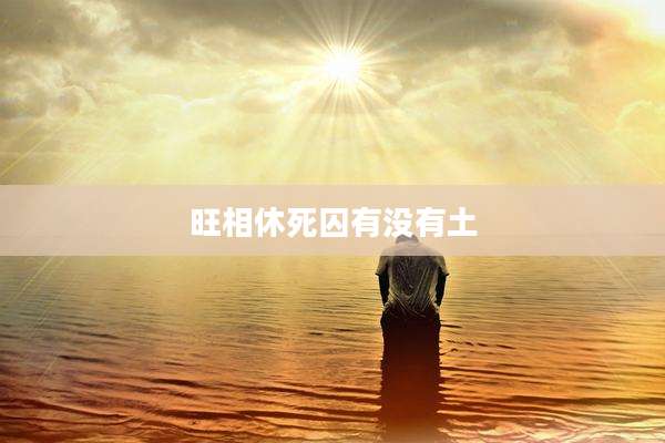旺相休死囚有没有土