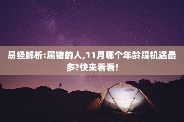 易经解析:属猪的人,11月哪个年龄段机遇最多?快来看看!