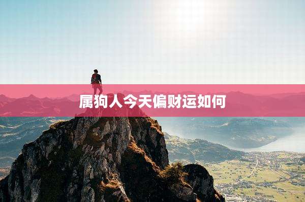 属狗人今天偏财运如何