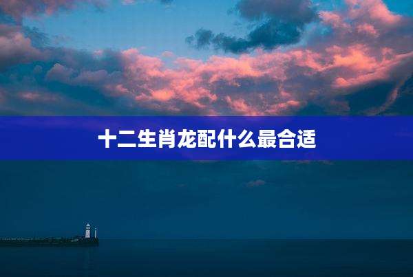 十二生肖龙配什么最合适