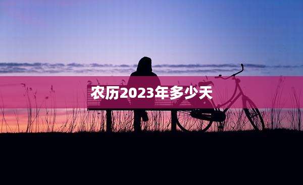 农历2023年多少天