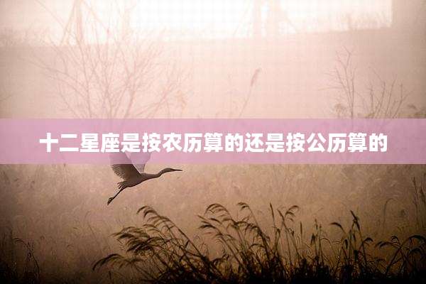 十二星座是按农历算的还是按公历算的