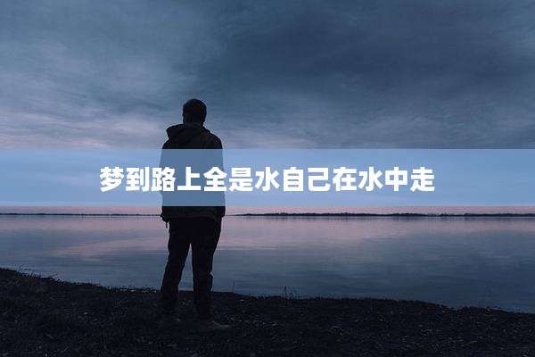 梦到路上全是水自己在水中走