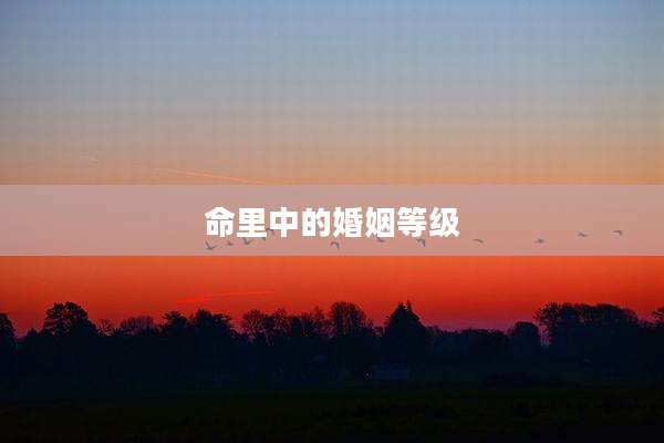 命里中的婚姻等级