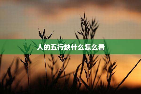 人的五行缺什么怎么看