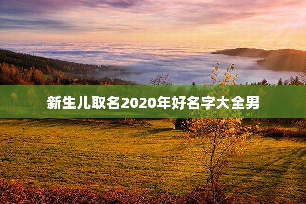 新生儿取名2020年好名字大全男